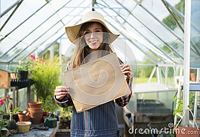 Gardening Cultivate Growth Seedling Plants Concept Stock Photo