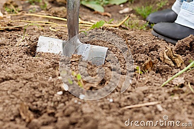 Gardening - digging over the soil Stock Photo
