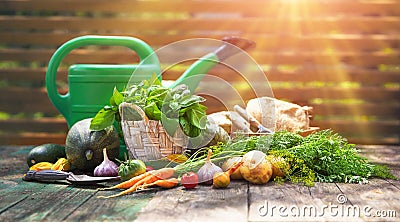 Gardening farming fresh organic vegetables and spicy. Stock Photo