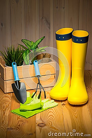 gardening, farming and planting concept - garden tools, flower seedlings and rubber boots on wooden Stock Photo
