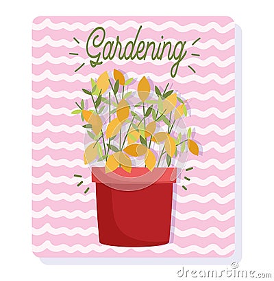 Gardening, flower leaves plant in pot, stripes background card Vector Illustration