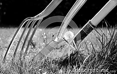 Gardening fork and two gardening spades in grass Stock Photo