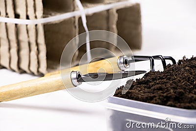 Gardening.Planting seeds in seed pots.Biodegradable paper eco-friendly seed pots.Seedlings in biodegradable pots Stock Photo