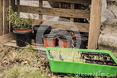Gardening Stock Photo