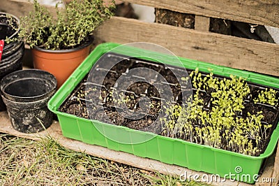 Gardening Stock Photo