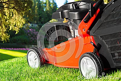 Gardening Stock Photo