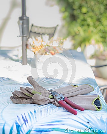 Gardening Gloves and Clippers on a Table Stock Photo