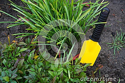 Gardening, landscaping background with a little garden shovel Stock Photo