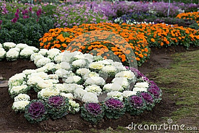 Gardening and landscaping Stock Photo