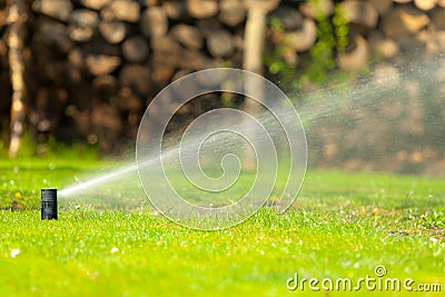Gardening. Lawn sprinkler spraying water over grass. Stock Photo