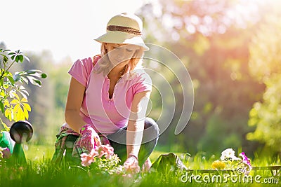 Gardening Stock Photo