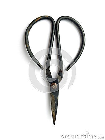 Gardening Shears - Small clipping scissors Stock Photo