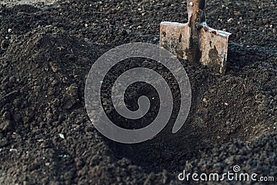 Gardening shovel Stock Photo