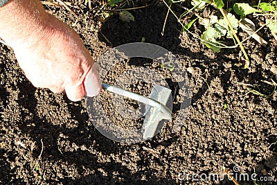 Gardening with a small hoe. Stock Photo