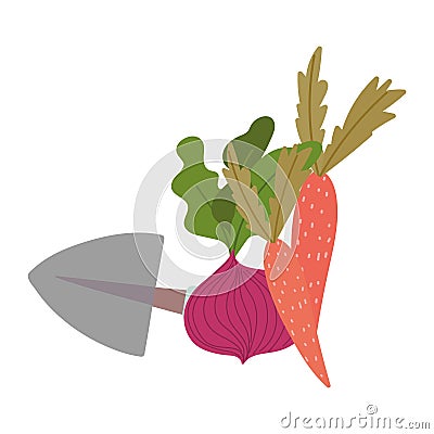 Gardening, spade beetroot and carrots vegetables isolated icon style Vector Illustration