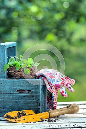 Gardening tools in a blue wooden tool box Stock Photo