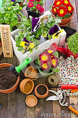 Gardening tools and flowers Stock Photo