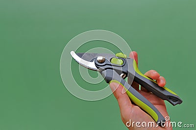 Gardening Tools. Garden shears in female hands on a green background.Gardening and horticulture. Garden Plants Pruning Stock Photo