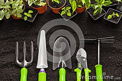 Gardening tools and plants Stock Photo