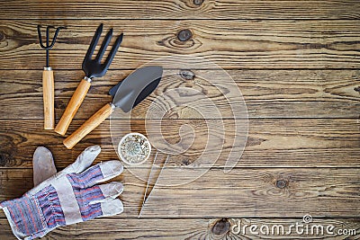 Gardening tools and set of plant care utensils on wooden table, top view, garden maintenance landscaping and hobby concept Stock Photo