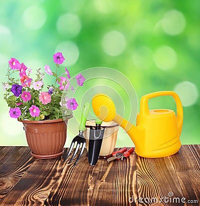 Gardening tools Stock Photo