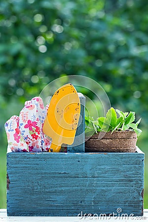 Gardening tools in a wooden tool box Stock Photo