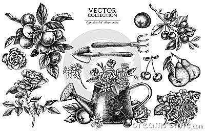 Gardening vintage illustrations collection. Hand drawn logo designs with watering can, apples, cherry, rose, pears Vector Illustration
