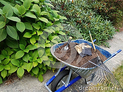 Gardening and yard work Stock Photo