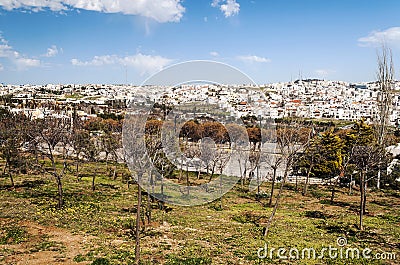 Gardens Amman in Jordan Stock Photo