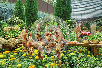 Gardens by the Bay, Flower Dome: Autumn Harvest Editorial Stock Photo