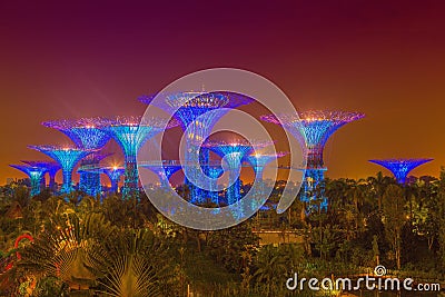 Gardens by the Bay at night Editorial Stock Photo