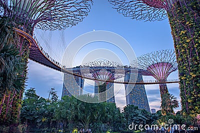 Gardens by the Bay. Night view of the light tree show in Singapore Editorial Stock Photo