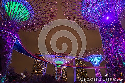 Gardens by the Bay. Night view of the light tree show in Singapore Editorial Stock Photo