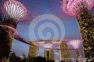 Gardens by the Bay. Night view of the light tree show in Singapore Editorial Stock Photo
