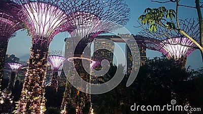 Gardens by the Bay Stock Photo