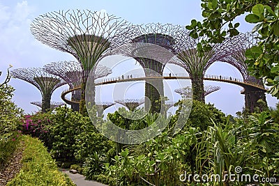 Gardens by the bay, Singapore Stock Photo