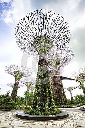 Gardens by the Bay Singapore Stock Photo