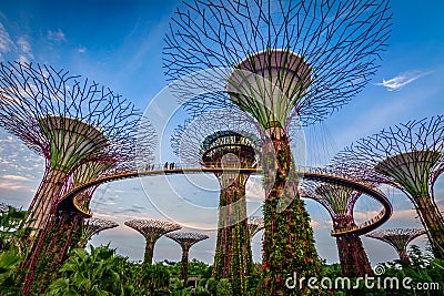 Gardens by the bay Singapore Stock Photo