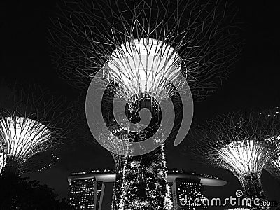 supertree grove in garden by the bay, Singapore. Editorial Stock Photo