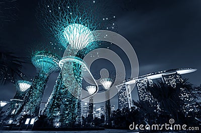 Gardens by the Bay or SuperTree Grove in Singapore Stock Photo