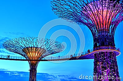 Gardens by the Bay Supertrees, Singapore Stock Photo