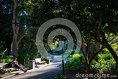 Quiet afternoon in Cape Town Gardens under the shade. Editorial Stock Photo