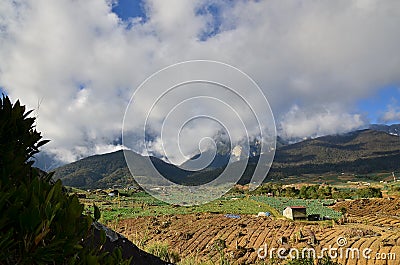 gardens in the coastal foothills of Kinabalu is so green and so beautiful views Editorial Stock Photo