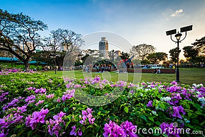 Gardens at Rizal Park, in Ermita, Manila, The Philippines. Editorial Stock Photo