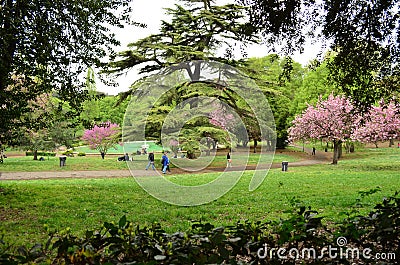 Gardens of Villa Borghese in Rome - Italy Stock Photo