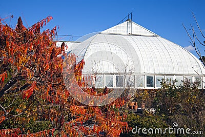 Garfield Park Conservatory Stock Photo