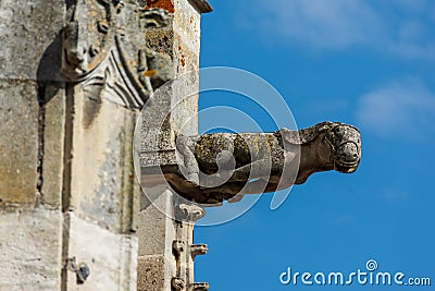 Gargoyle on the facade of the Saint-Pierre church, Dreux, France Stock Photo