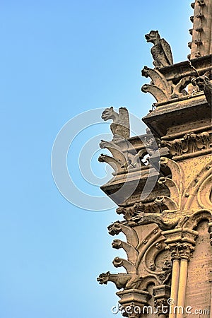 Gargoyle and Turret Gothic facade of the cathedral Notre-Dame de Paris Stock Photo