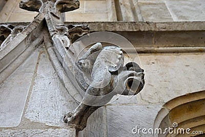 Gargouilles of Palais de Justice of Rouen. France. Stock Photo