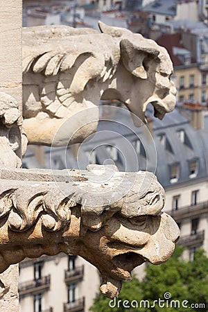 Gargoyles in Paris Stock Photo